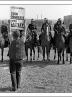 Postcard of a picket holding placard reading "Turn Orgreave into Saltley" on 18th June 1984.