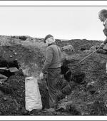 Postcard of striking miners picking coal on spoil tips near Mardy Colliery in February 1985.